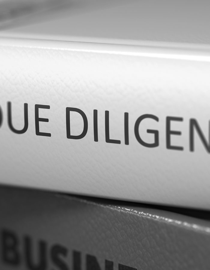 Buch, Due Diligence